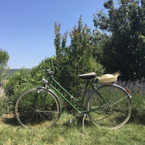 Le domaine de la bastidonne se situe le long de la piste cyclable cavaillon forcalquier